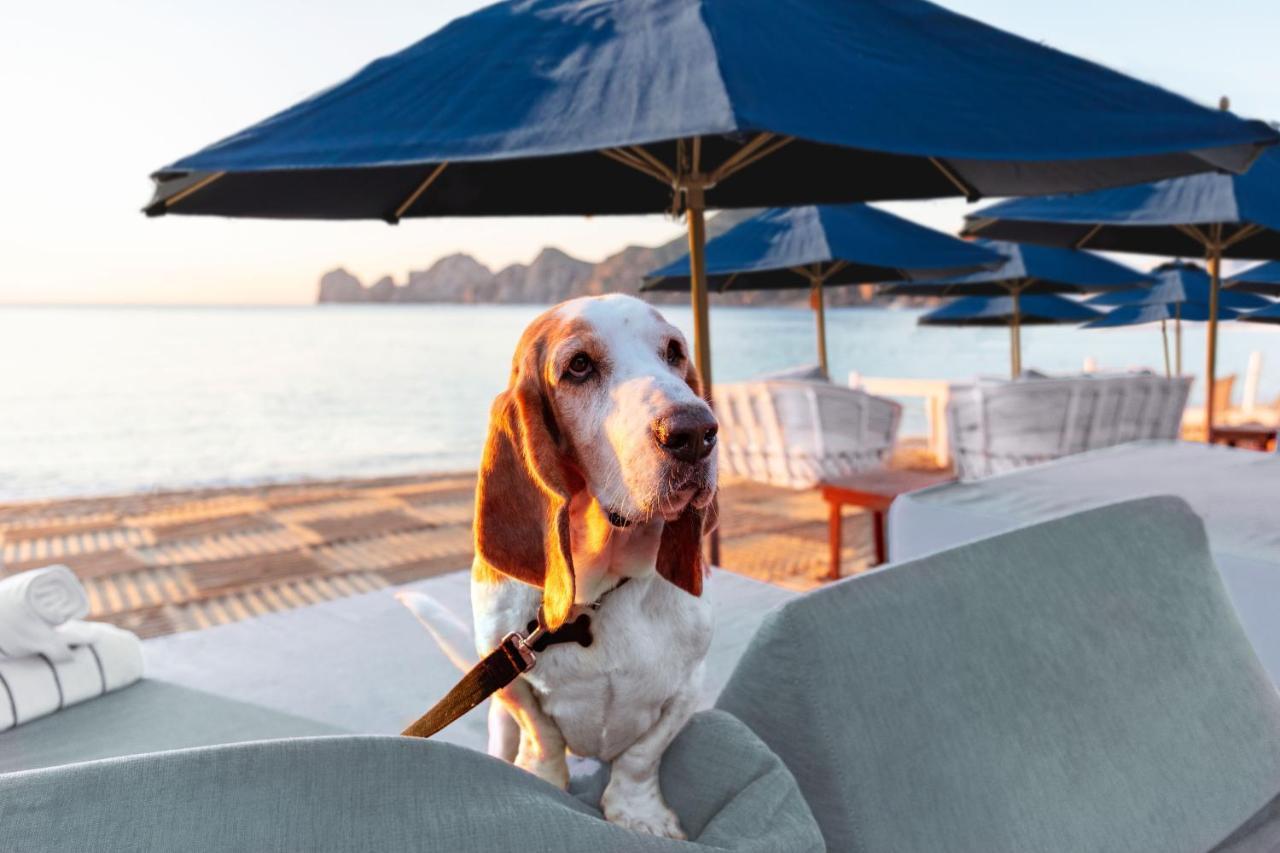 Corazon Cabo, A Noble House Resort كابو سان لوكاس المظهر الخارجي الصورة